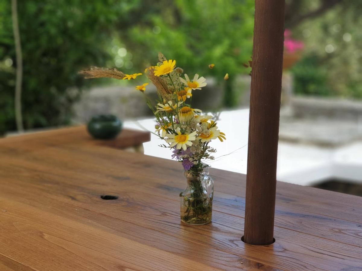 L'Antico Ulivo Villa Santa Cesarea Terme Kültér fotó