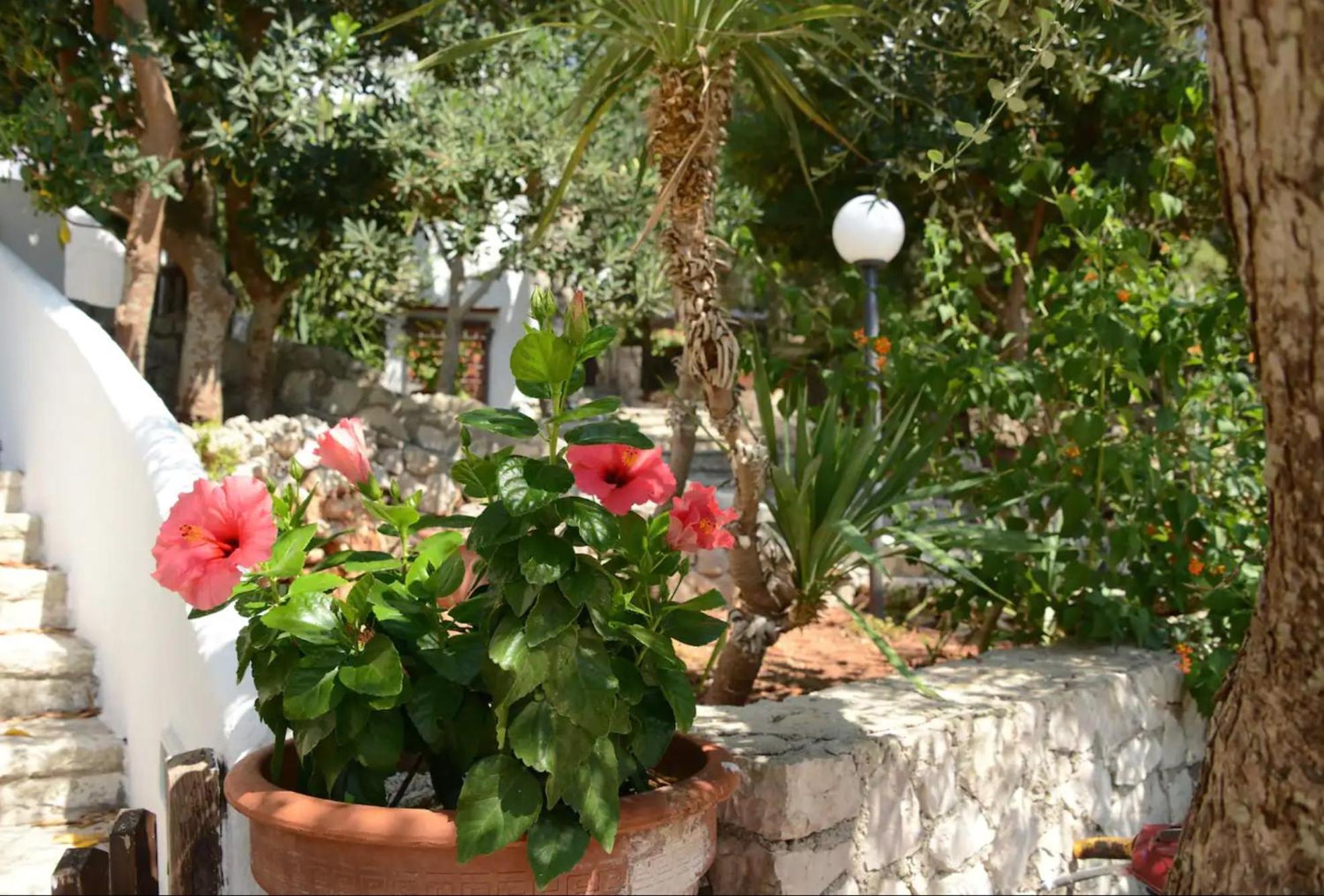 L'Antico Ulivo Villa Santa Cesarea Terme Kültér fotó