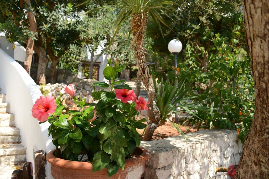 L'Antico Ulivo Villa Santa Cesarea Terme Kültér fotó
