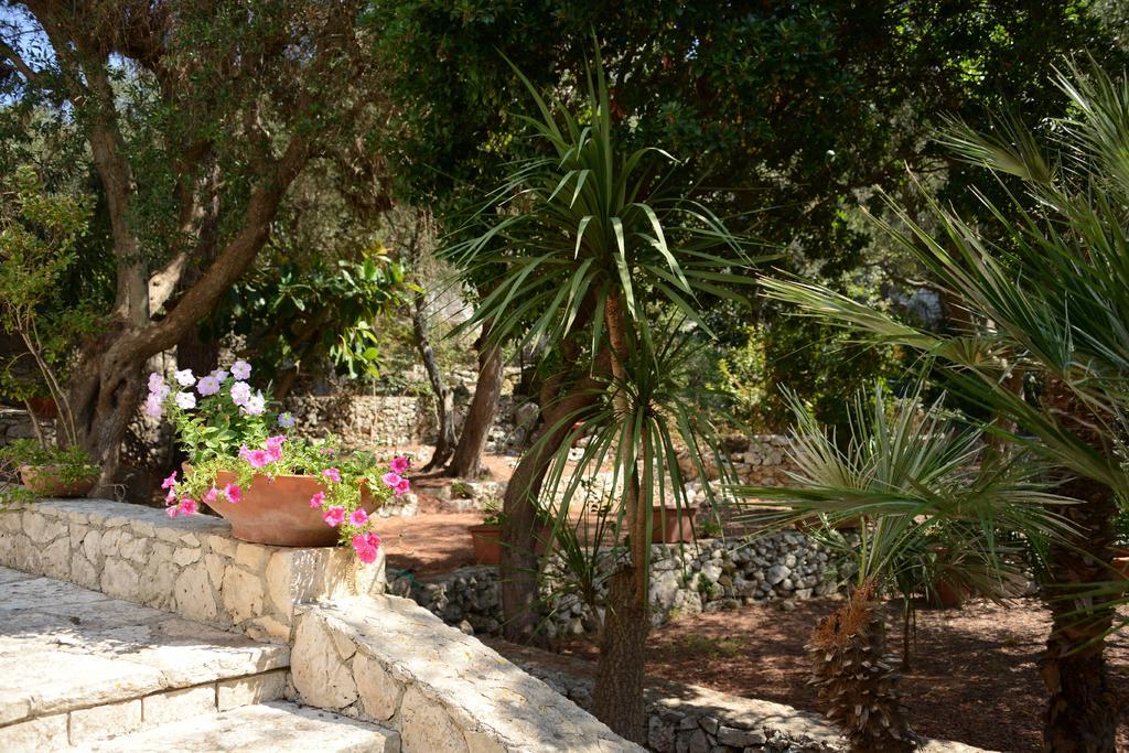 L'Antico Ulivo Villa Santa Cesarea Terme Kültér fotó