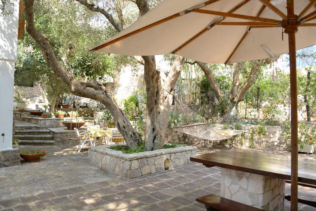 L'Antico Ulivo Villa Santa Cesarea Terme Kültér fotó